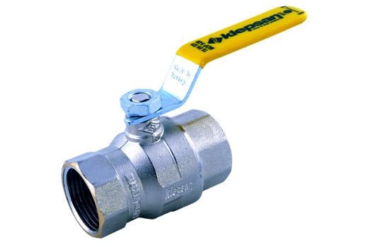 KLEPSAN Doğalgaz Vanası MOP 5