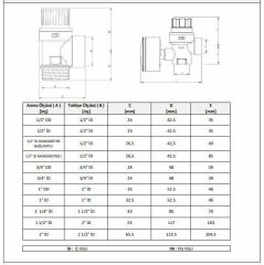 CASE - 1/2''  İç Dişli  Emniyet Ventili
