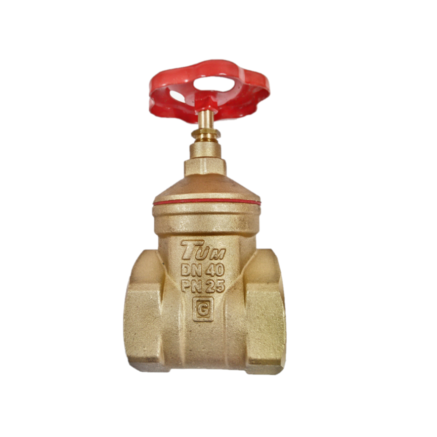 2'' Şiber Vana - DN50 - TSE - GENTA