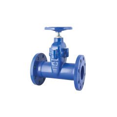 Elastomer Sitli Sürgülü Vana Sfero Döküm (PN 16, F5 Boy)
