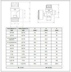 CASE - 1 1/4''  İç Dişli  Emniyet Ventili