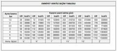 CASE - 1 1/4''  İç Dişli  Emniyet Ventili