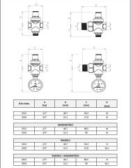 CASE - Minyon Basınç Düşürücü Rakorlu Vana 3/4''