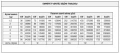 CASE - 1'' İç Dişli Emniyet Ventili