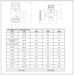CASE - 1 1/2''  İç Dişli Emniyet Ventili